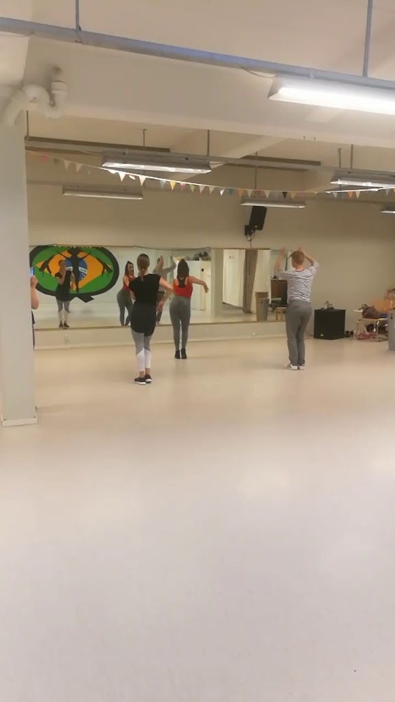 zingi-dance-studio-2.jpeg