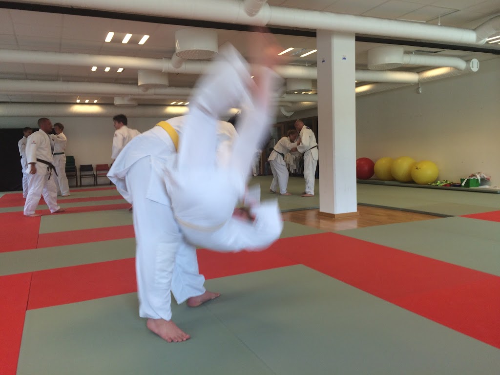 trelleborg-judo-0.jpeg