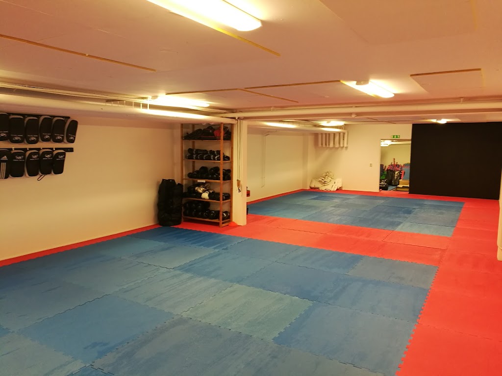 trelleborg-muay-thai-5.jpeg
