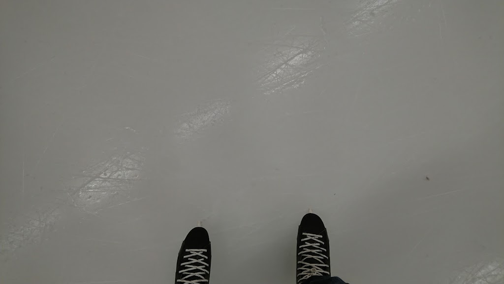 trelleborgs-ishall-10.jpeg