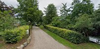 Accountant and Audit - Hans Torben Andersen
