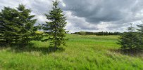Allerød Jagtforenings Skydebane