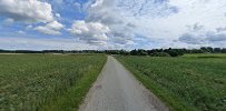 Bævere på Solbjerggård