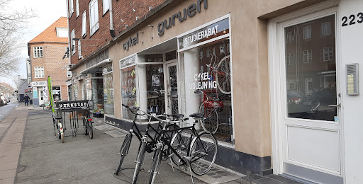 Cykel Guruen