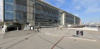 Dansk Forening For Eu-Skatteret