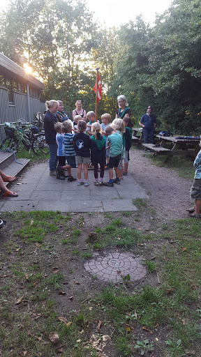 De Vilde Svaner Det Danske Spejderkorps