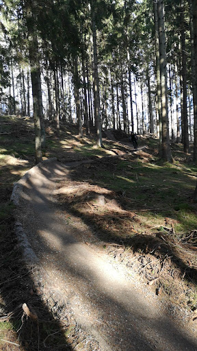Det blå Mtb spor i Tisvilde Hegn