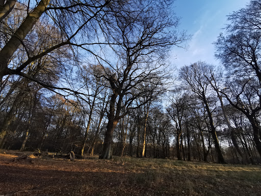 Dyrehavegårdsvej (Hjortekærsvej)