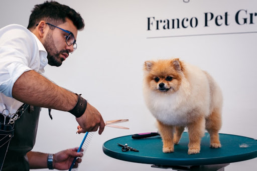 franco pet groomer
