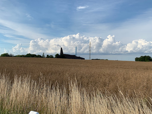 frederiksens frugtplantage
