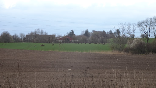 Gribskov Jagtforening
