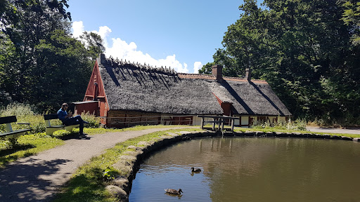 HSOK (Helsingborgs Orienteringsklubb)