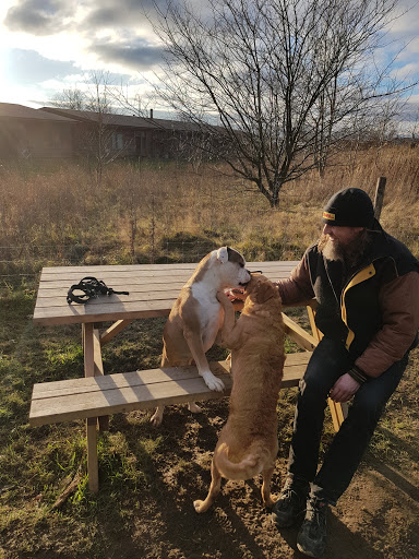 Hundepark ved Lillevang Plejecenter