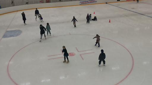 Hvidovre Skating Club