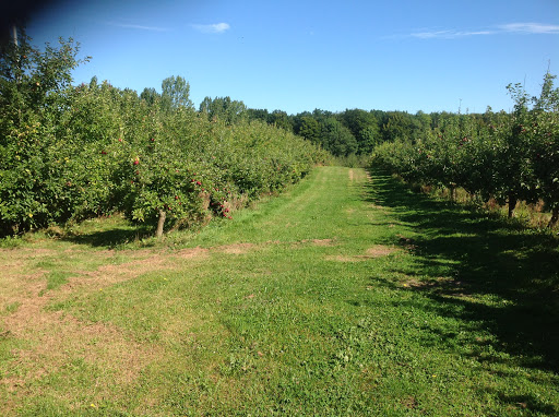 Lindehøjgård Frugt