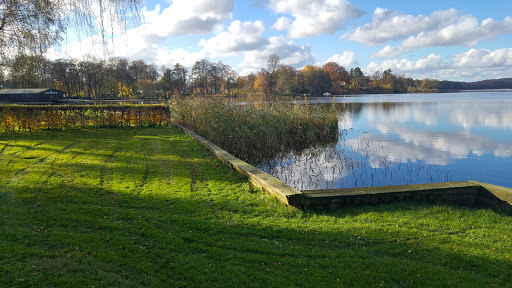 Lyngby Dameroklub