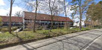 Marcussen