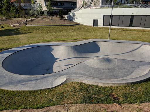 Mini Skate Bowl