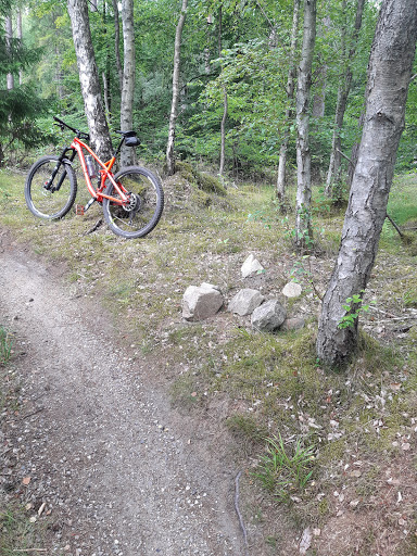 MTB Tisvilde Nyvej