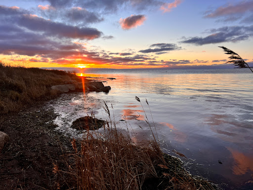 Nivå Havn (Gammel Strandvej)
