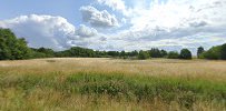 Nybovej (Hørsholmvej)