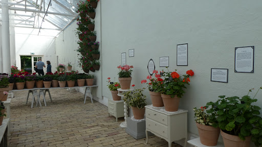 Orangeriet
