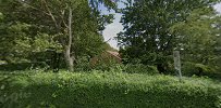 Psykoterapeut og Sprogkonsulent