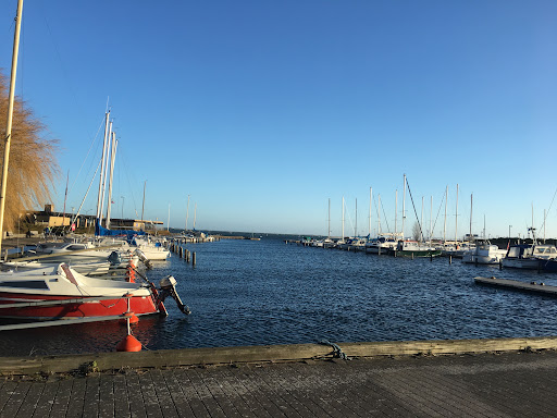 Roklubben SAS