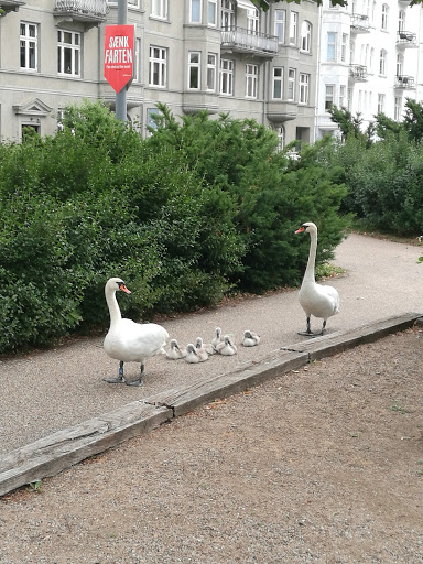 Sankt Peder Petanque Klub