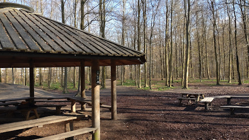 Skovlegeplads Skodsborg