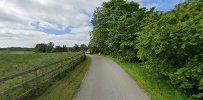 Skovløberen - Naturlegepladser - Træfældning