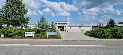 Skovlyskolen