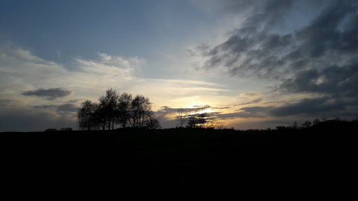 Søllerød Golfklub