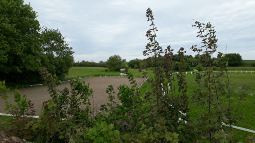 Bakkegårdens Rideklub Stenlille