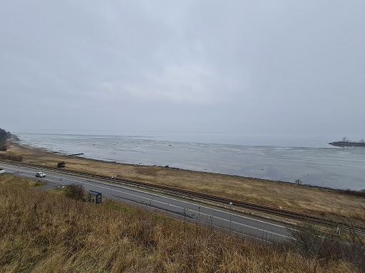Bakkegårdsvej (Sandskårsvej)
