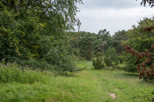 Bangshøj