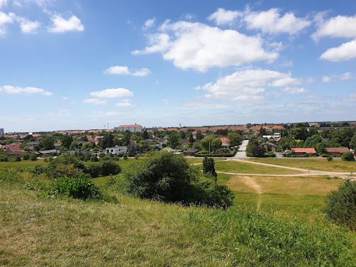 Bjerget