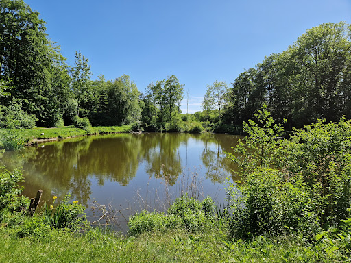 Brøndbyskoven Sø