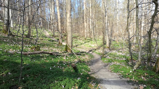 Djævlesporet, Lystrup