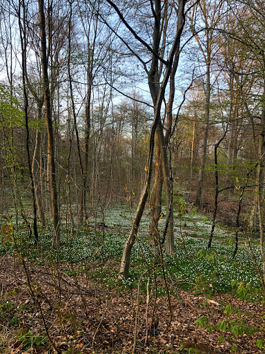 Fiskebæk Naturskole