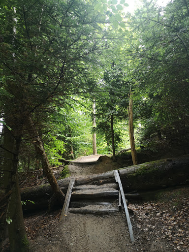 Geelskov Mountain Bike Spor