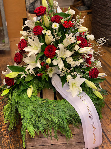 Gerbera Blomster
