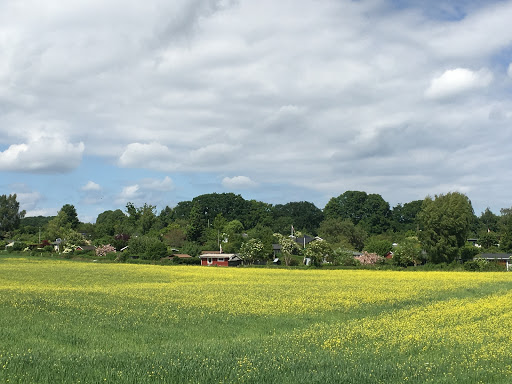 Haveforeningen Solpletten