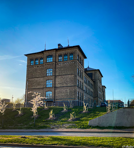 Internationella Engelska Skolan Helsingborg