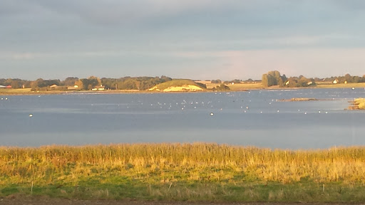 Kenn Stærkjær