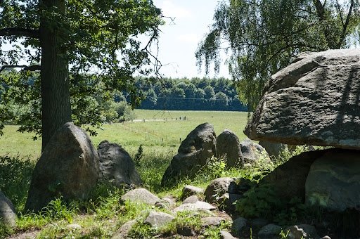 Kongedyssen