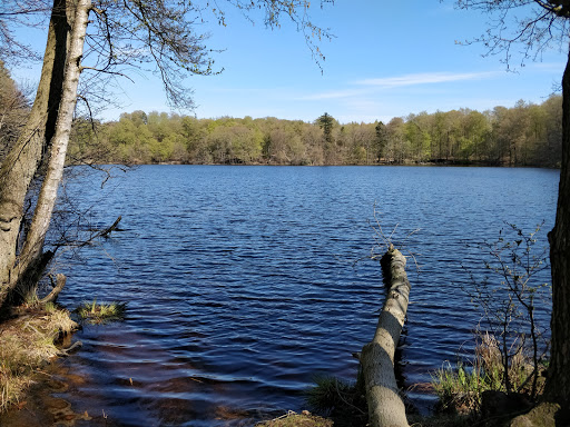 P Plads ved Løjesø