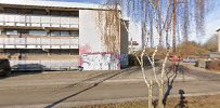 Rep-Auto