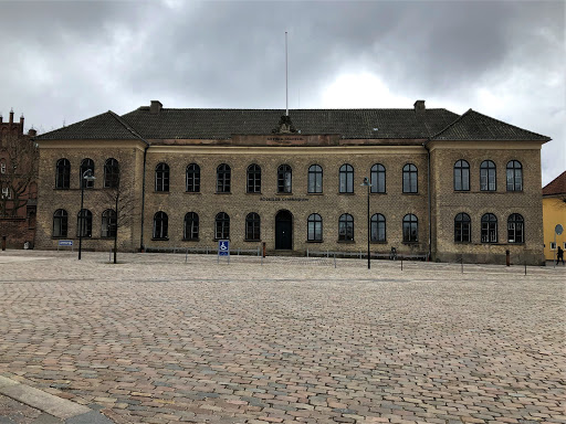 Roskilde High School