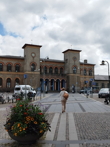 Roskilde Vikinge Vinterbadere